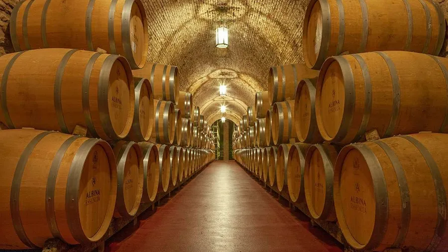 Imagen de Actividad: cmdylq9zd05yt2xzhyvonrm02