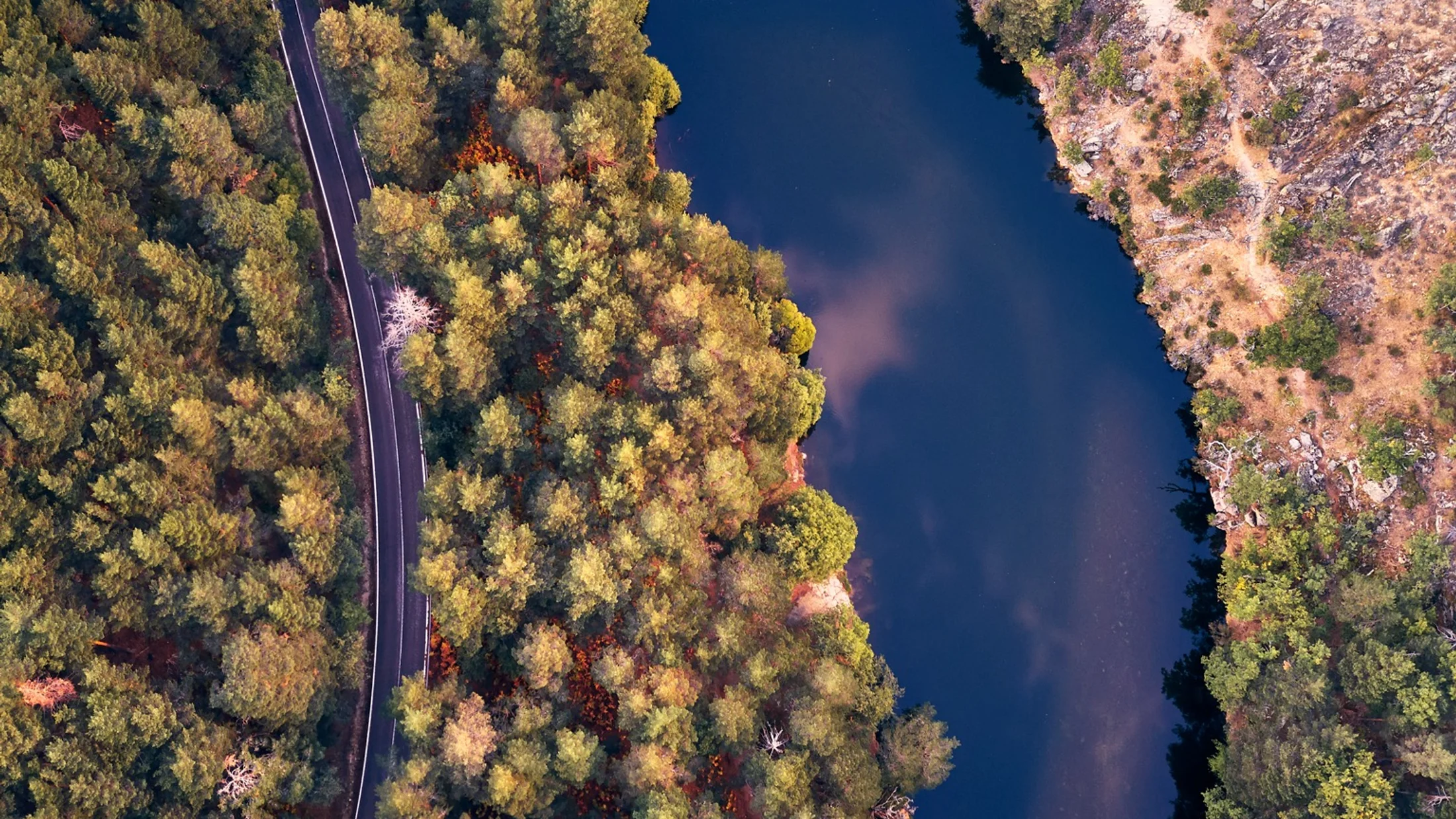 Imagen de Artículo de Blog: cmh3nlqrr006r12svke504fln