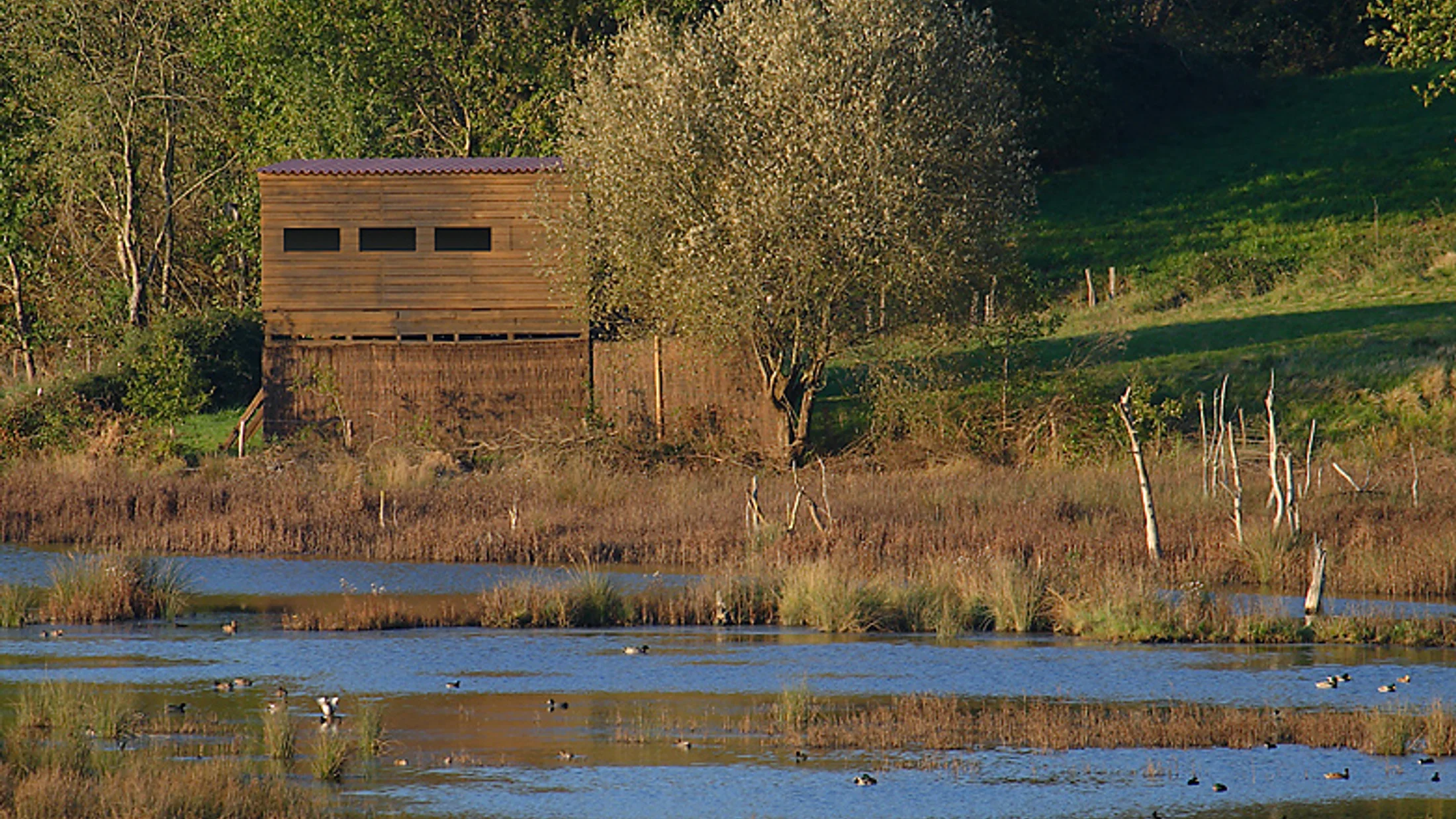 Imagen de Región: cmcjdctpe001hik8p2b7neh33