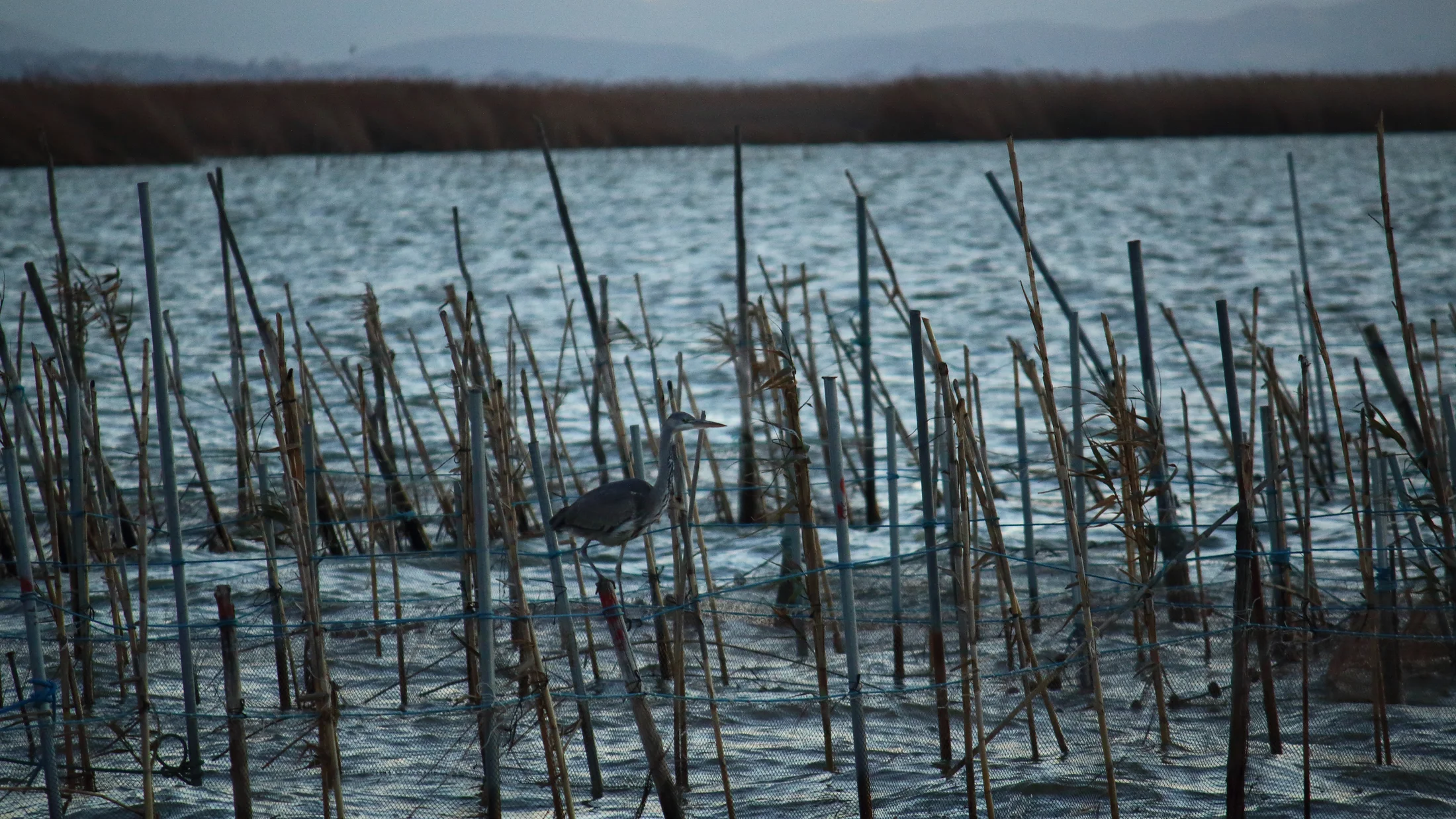 Imagen de Región: cmcjb26bs0009ik8p0i34z3sm