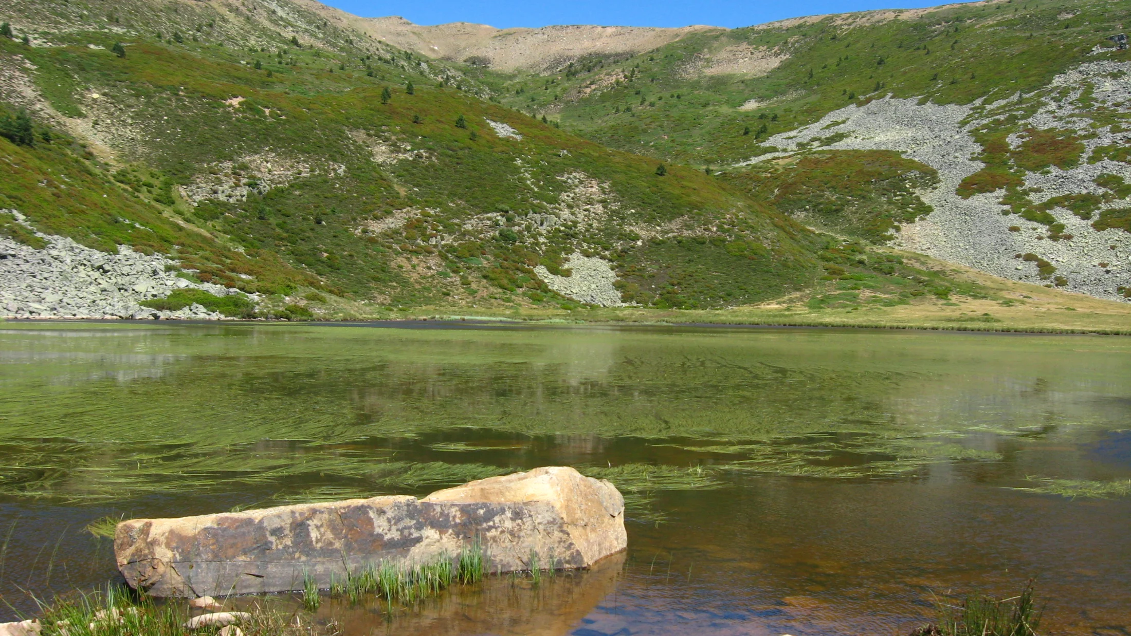 File:Laguna Cebollera 4.JPG