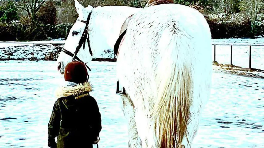 Inmersión ecuestre con 4 clases de equitación en La Pedriza