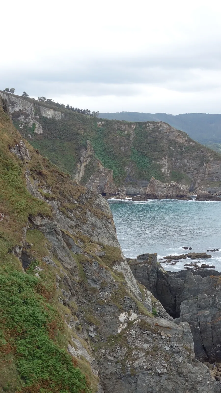 Punta do Fociño do Porco