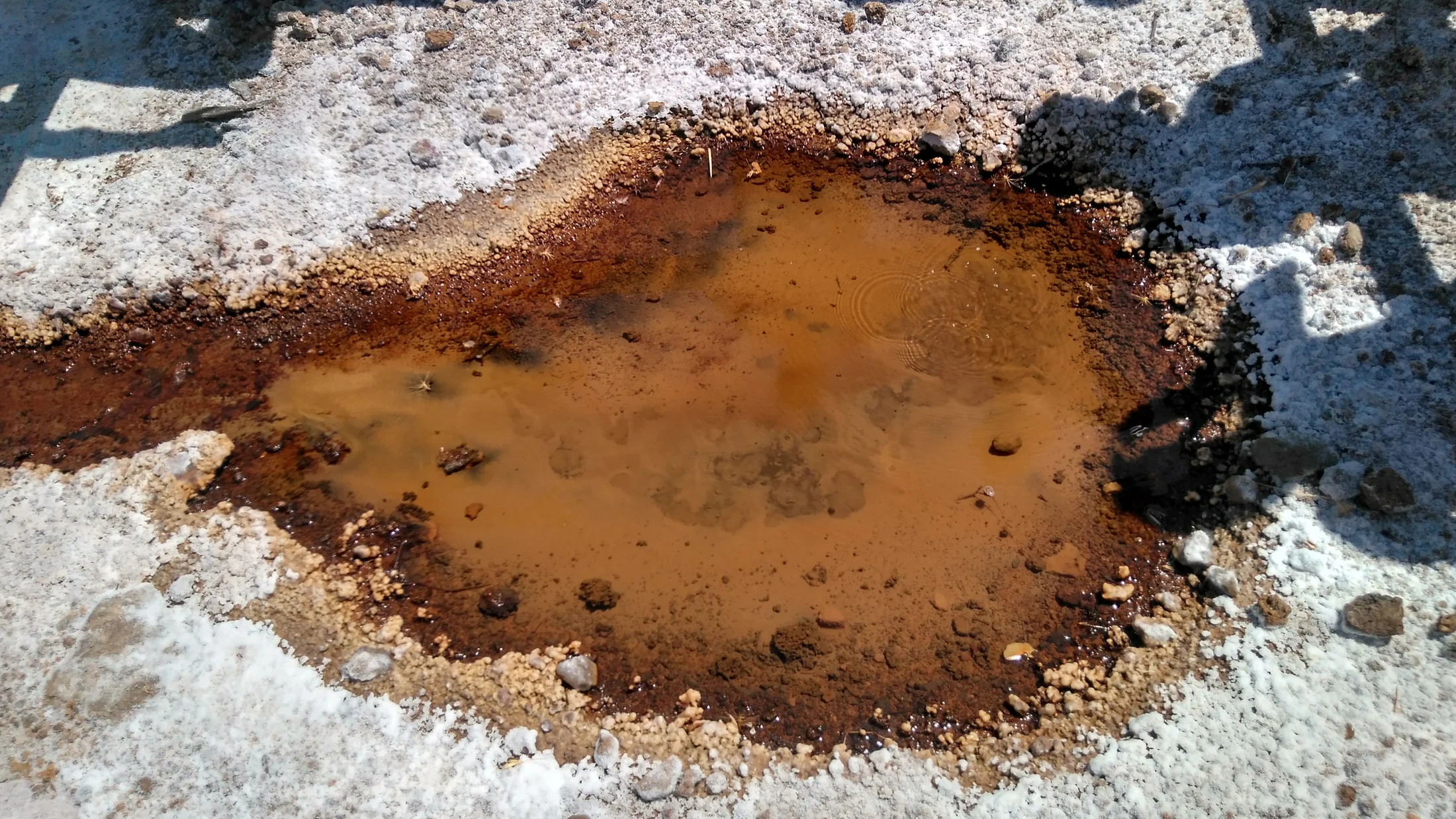 Imagen de Región: cmcj1wmtr000qphyj296ks6am