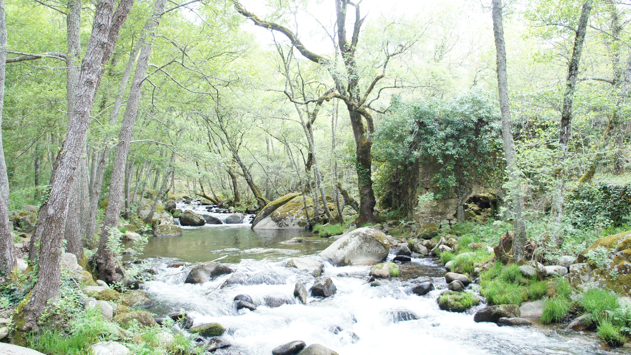 File:Sierra de Francia, Salamanca 07.JPG