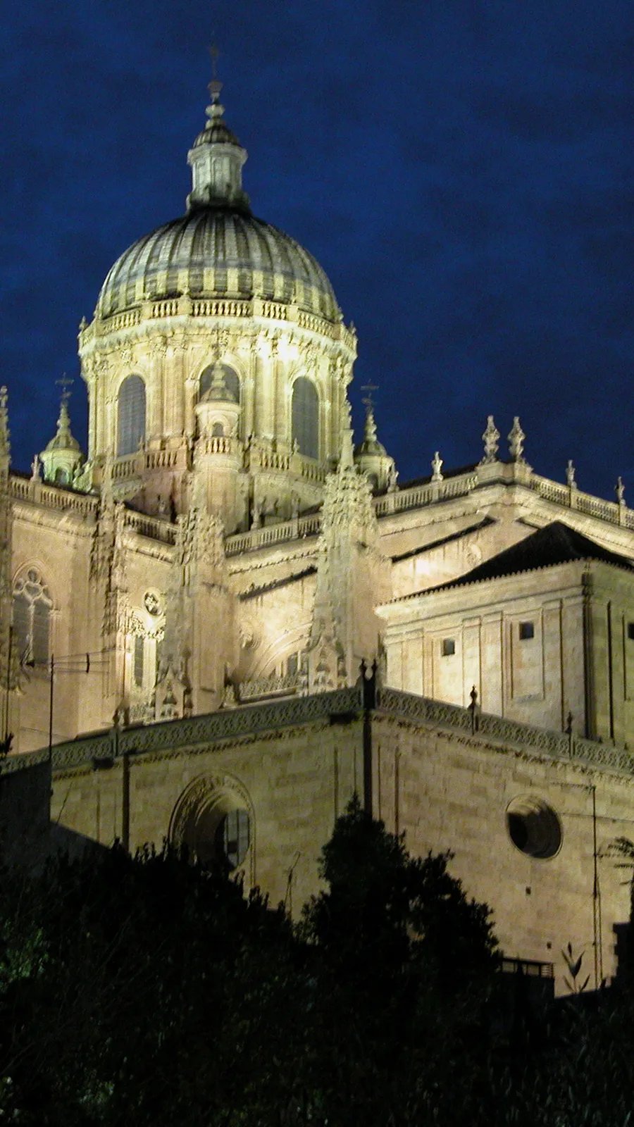 New Cathedral of Salamanca