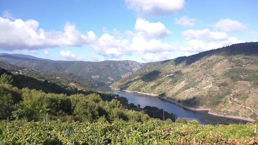 Paseo en catamarán por los Cañones del Sil