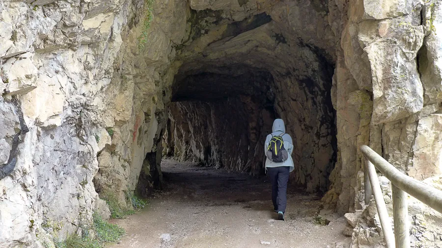 Imagen de Región: cmcjdd40c005dik8p73skurnw