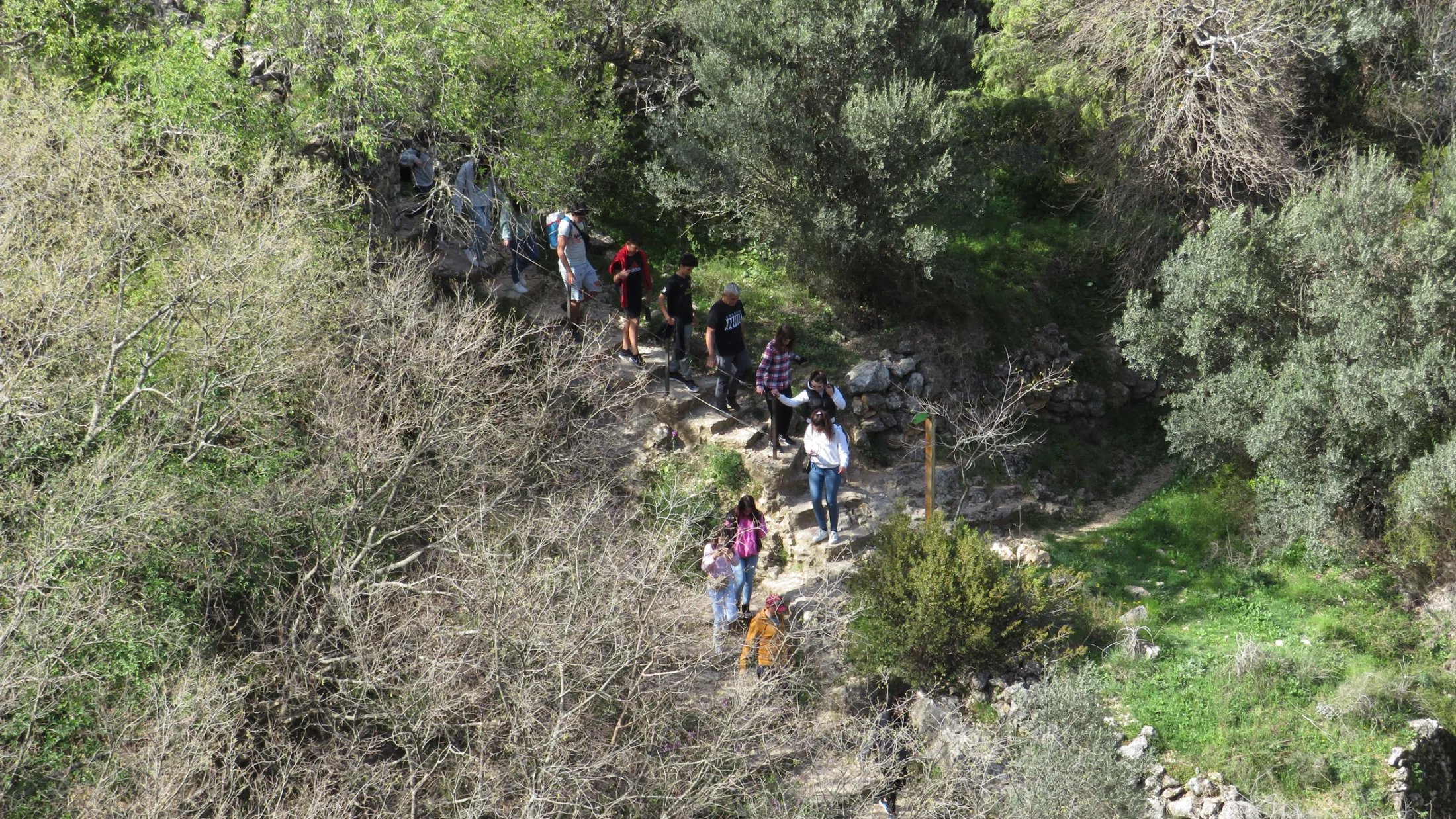 Imagen de Artículo de Blog: cmnrm9aeh01gtl9npujwa1vrc