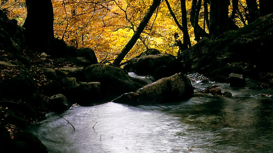 Imagen de Región: cmcjdd34y0051ik8pzeqd9f1t