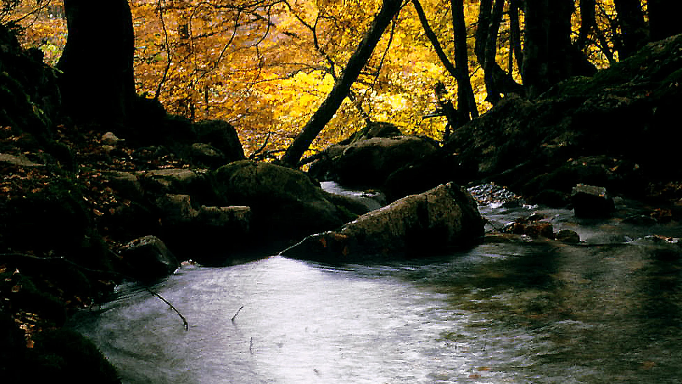 Imagen de Región: cmcjdd34y0051ik8pzeqd9f1t