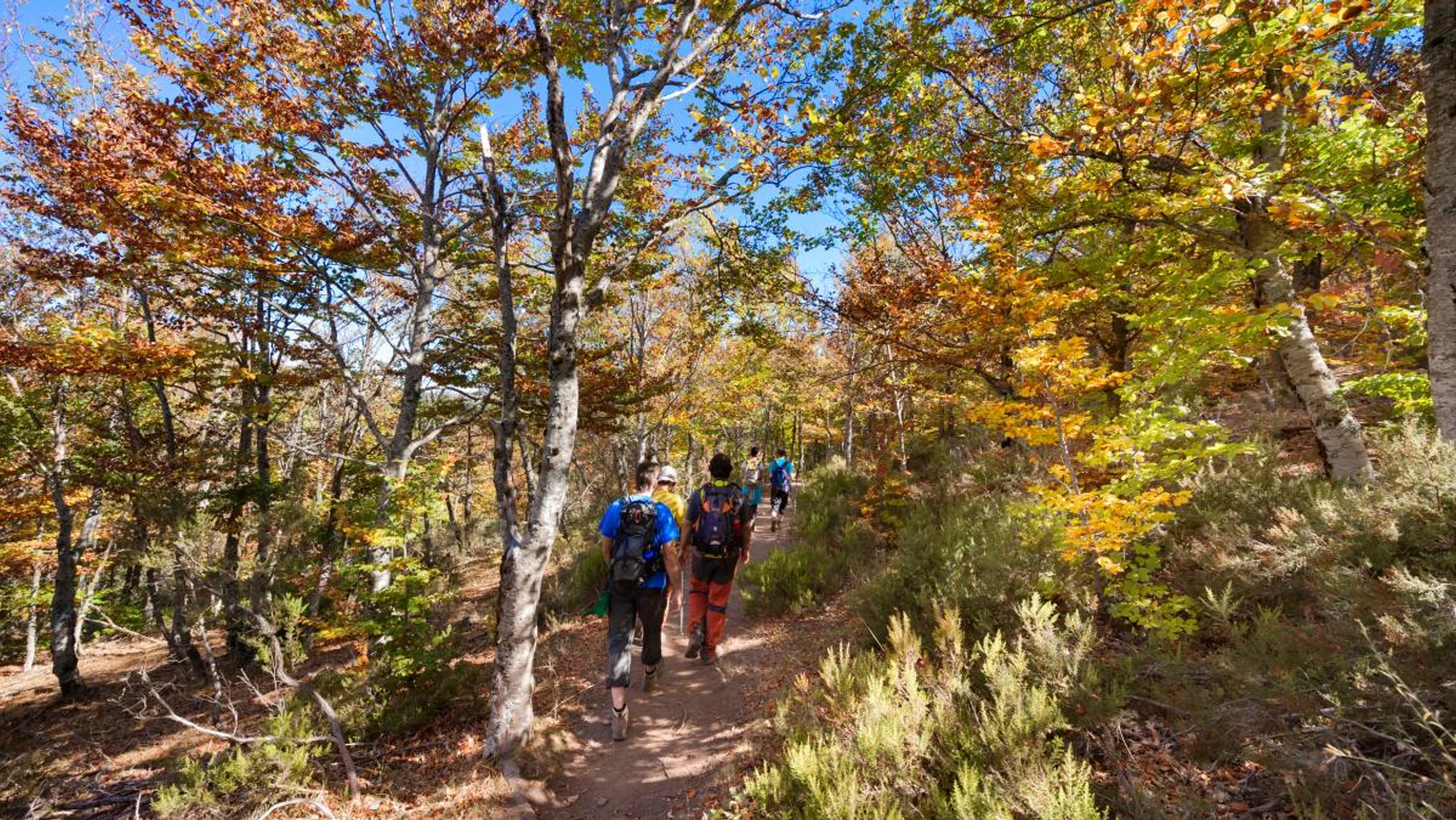 Senderismo en Castilla-La Mancha: hoces del Júcar, lagunas y naturaleza sorprendente en 10 rutas