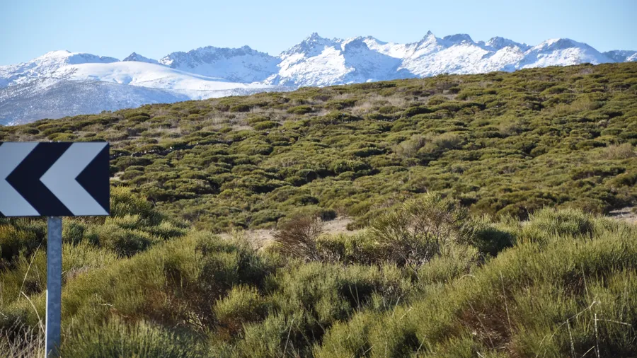 Imagen de Región: cmcj1wlbf0006phyj2qa6n1mq