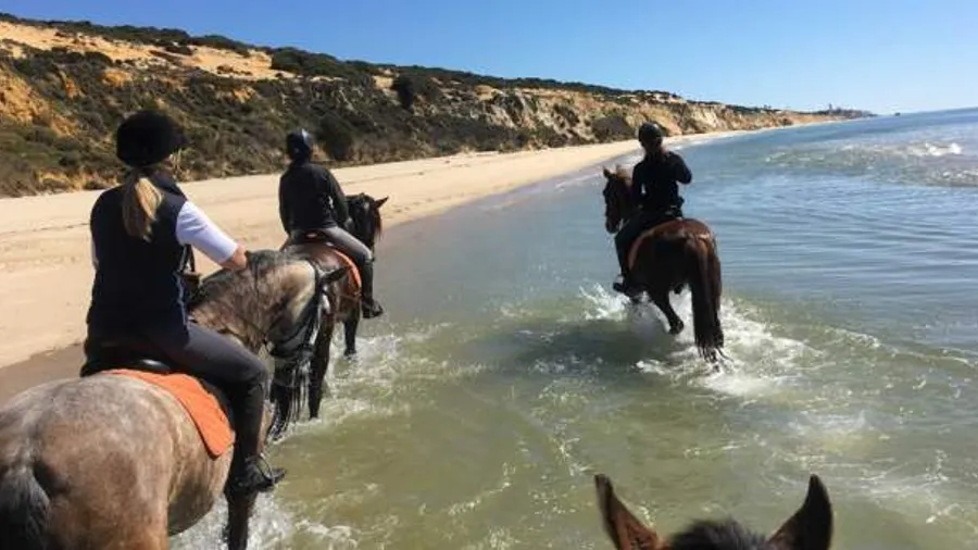 Alquiler de Caballo Independiente Día Completo en El Rocío, Doñana