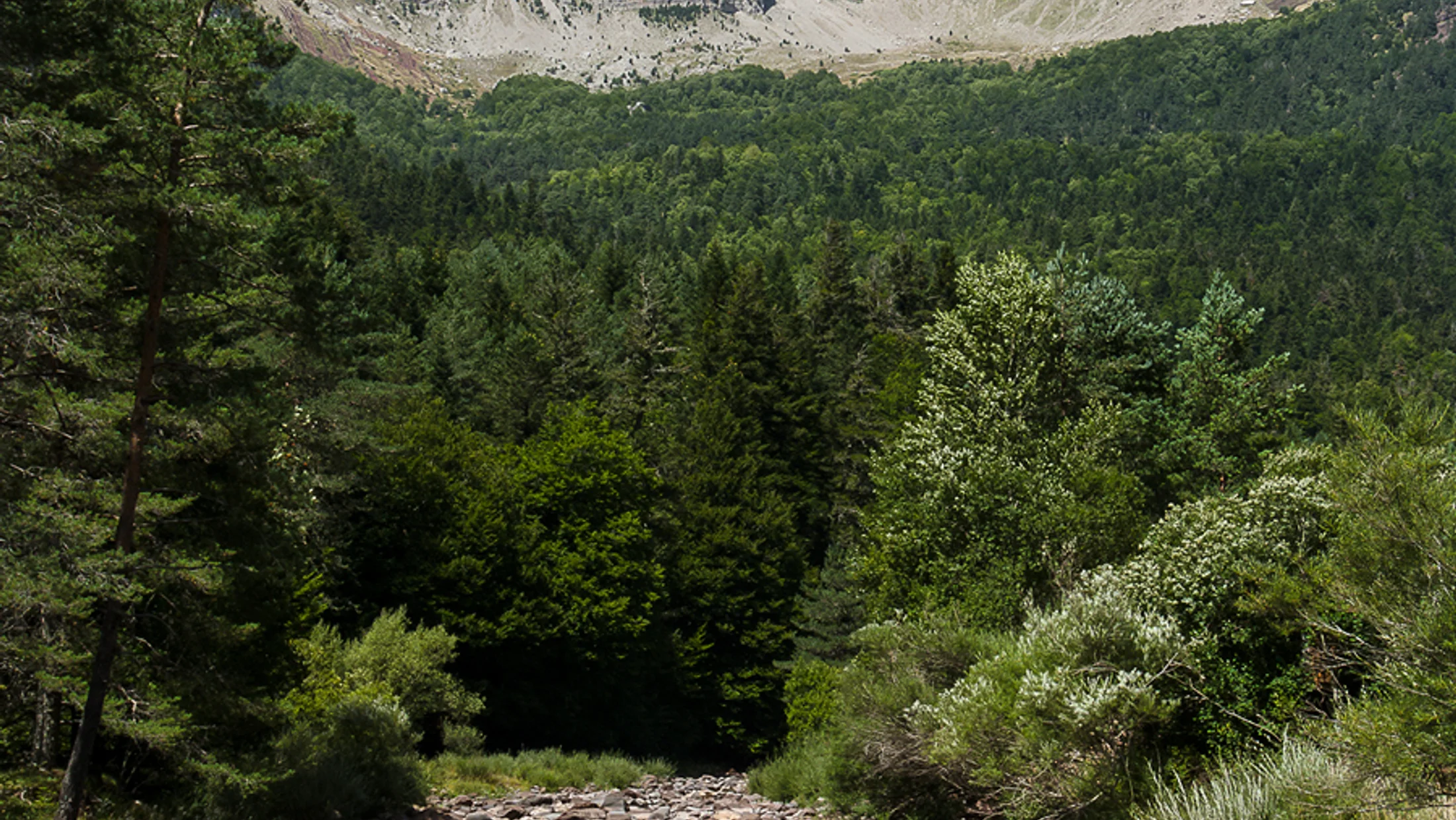 Imagen de Región: cmcjdcxsw0031ik8pplfti95y