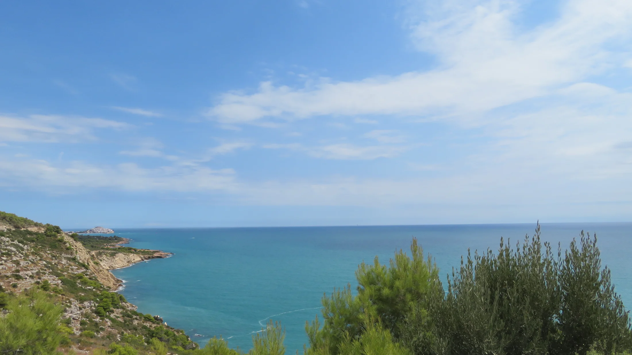 Imagen de Región: cmcjb296f0019ik8pv0vjue0l