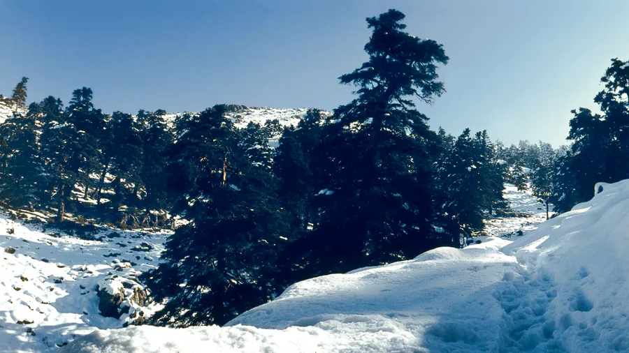 Imagen de Región: cmcjdd06y003xik8p12ini635