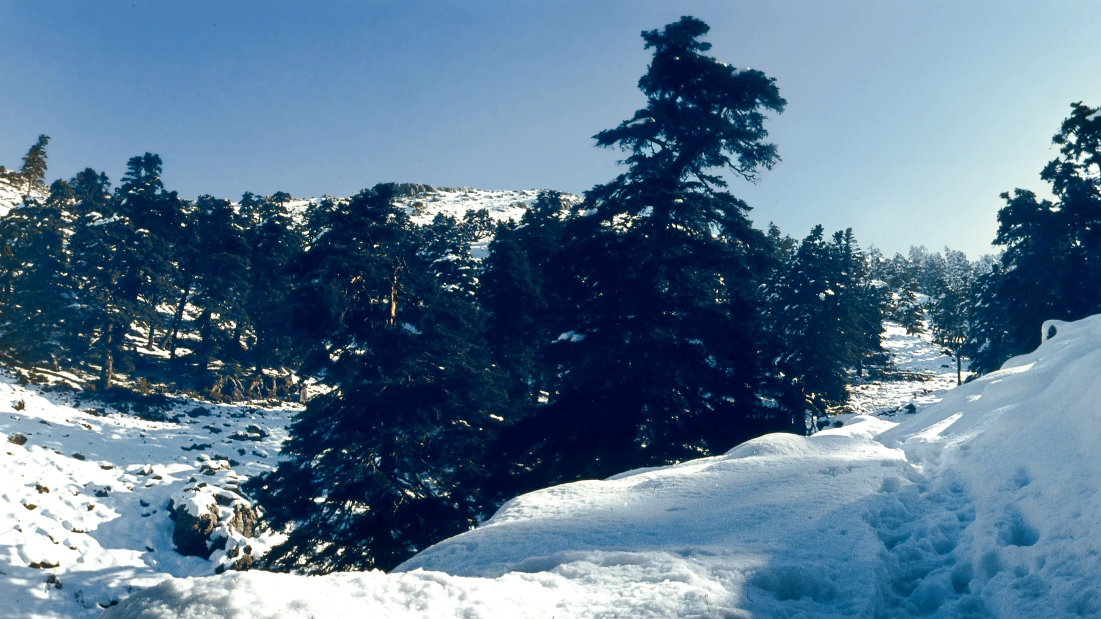 Imagen de Región: cmcjdd06y003xik8p12ini635