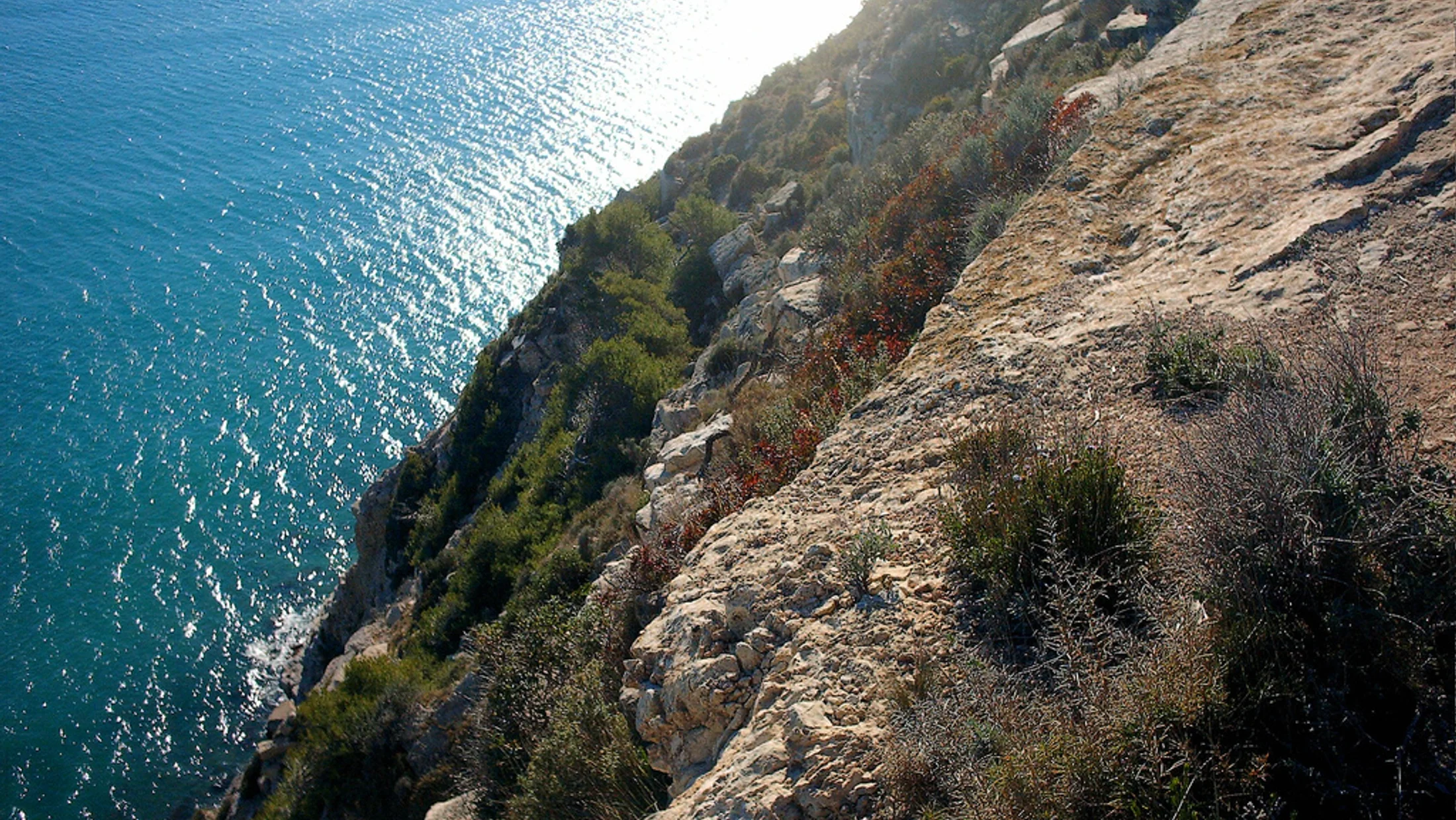 Imagen de Región: cmcjb296f0019ik8pv0vjue0l