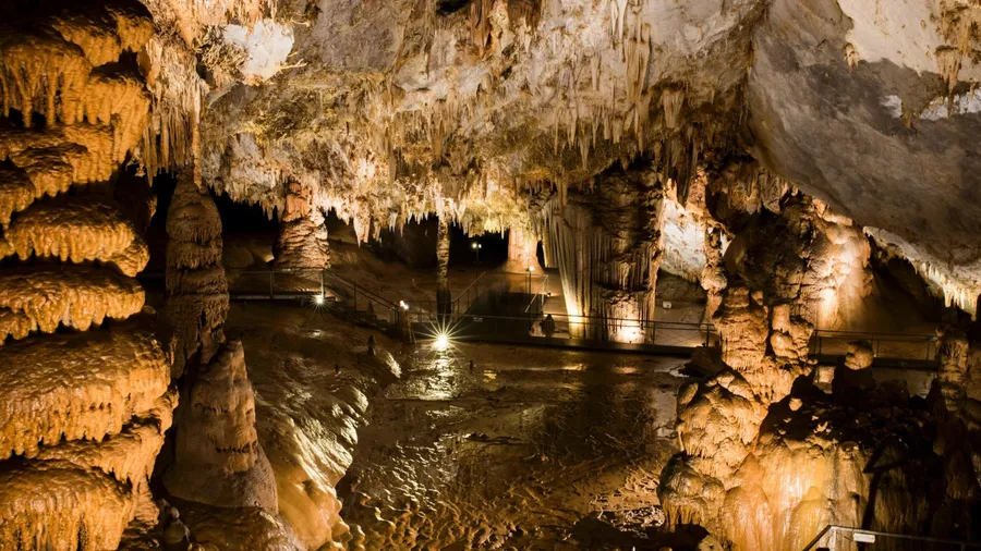 Imagen de Actividad: cmdymlafm0l3d2xzhaz1dx7xd