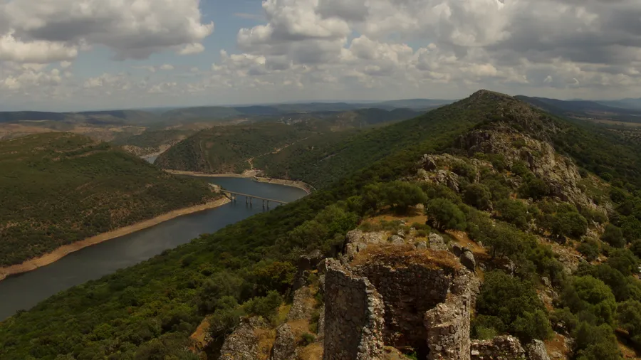 Imagen de Artículo de Blog: Monfragüe para observadores de aves: miradores, buitres negros y mejor hora