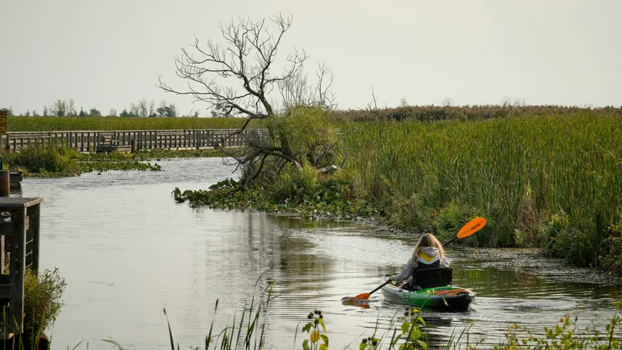 Guided canoe trip through the Noja marshes