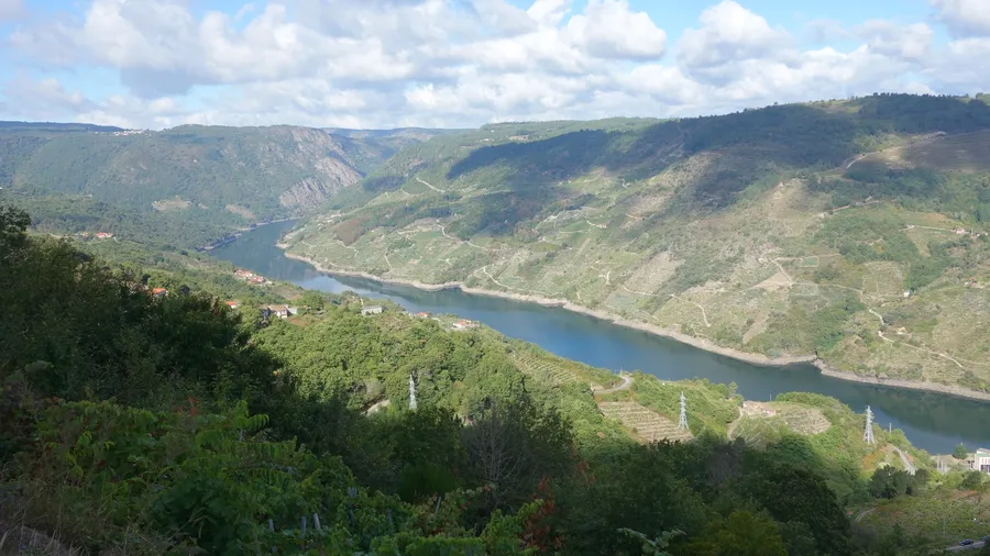 Imagen de Artículo de Blog: Sil Canyon by catamaran: routes, heroic vineyards and Ribeira Sacra
