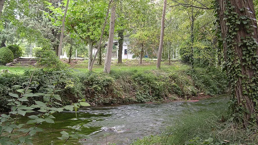 Balnéaire de Jaraba