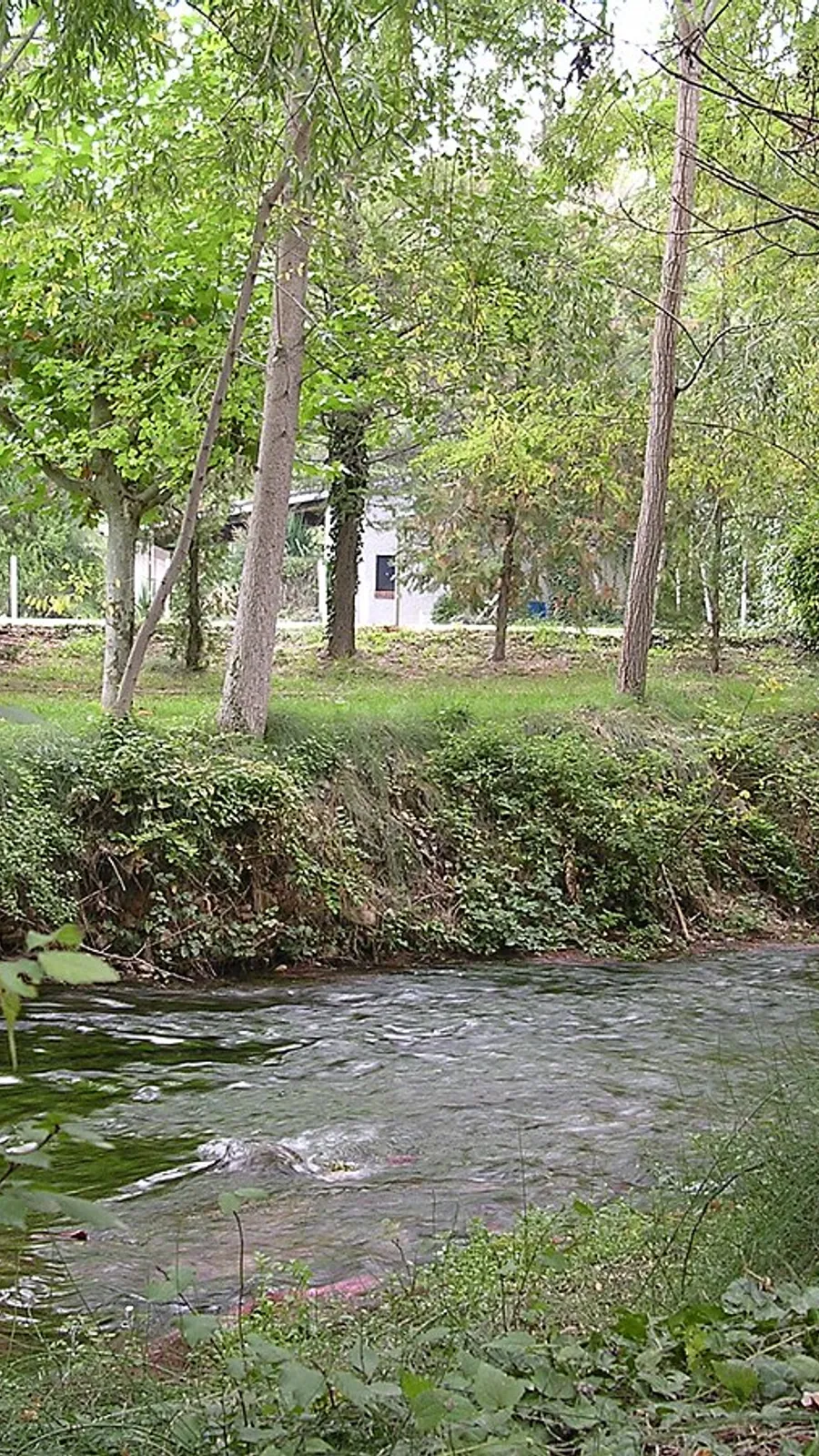 Balnéaire de Jaraba