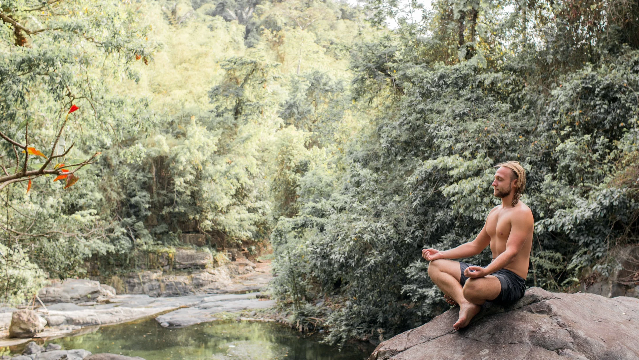 Imagen de Artículo de Blog: cmgz812y0007u9i0ucz7qci3r