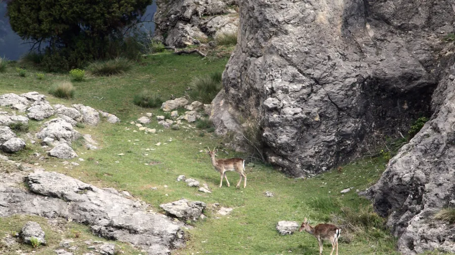 Imagen de Región: cmcnc9cmm0hg5zr5pvu5tbzx4