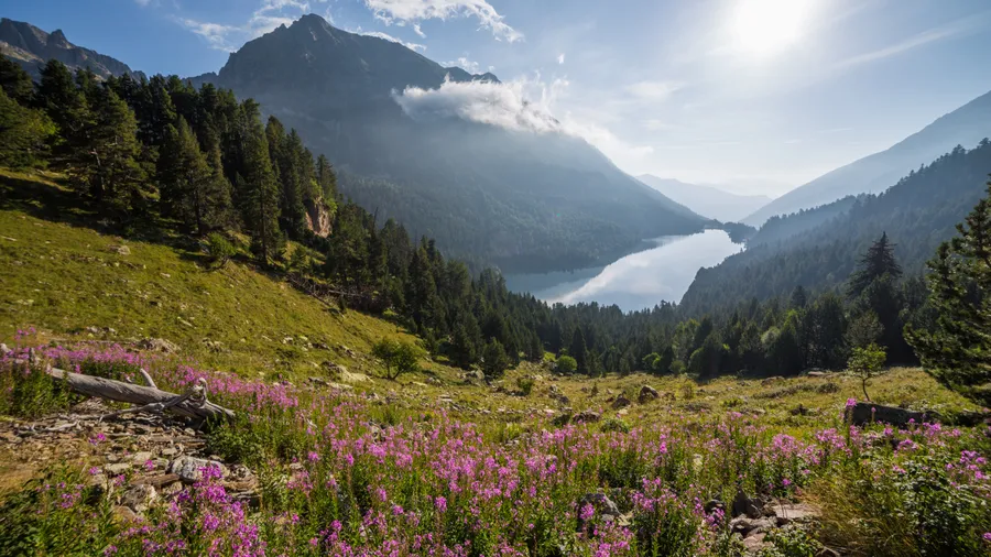 Aigüestortes i Estany de Sant Maurici National Park