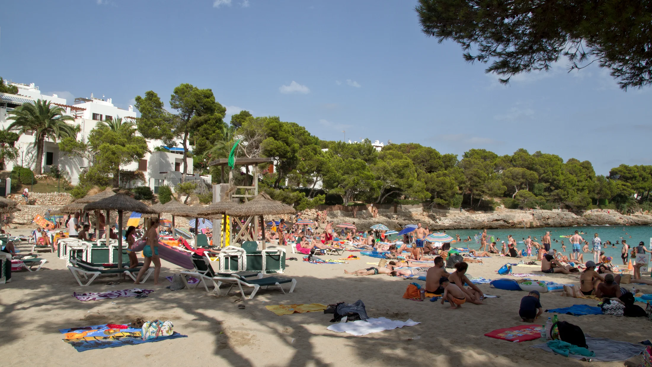 Imagen de Región: cmcncq14c0hyfzr5pojlvvm2j