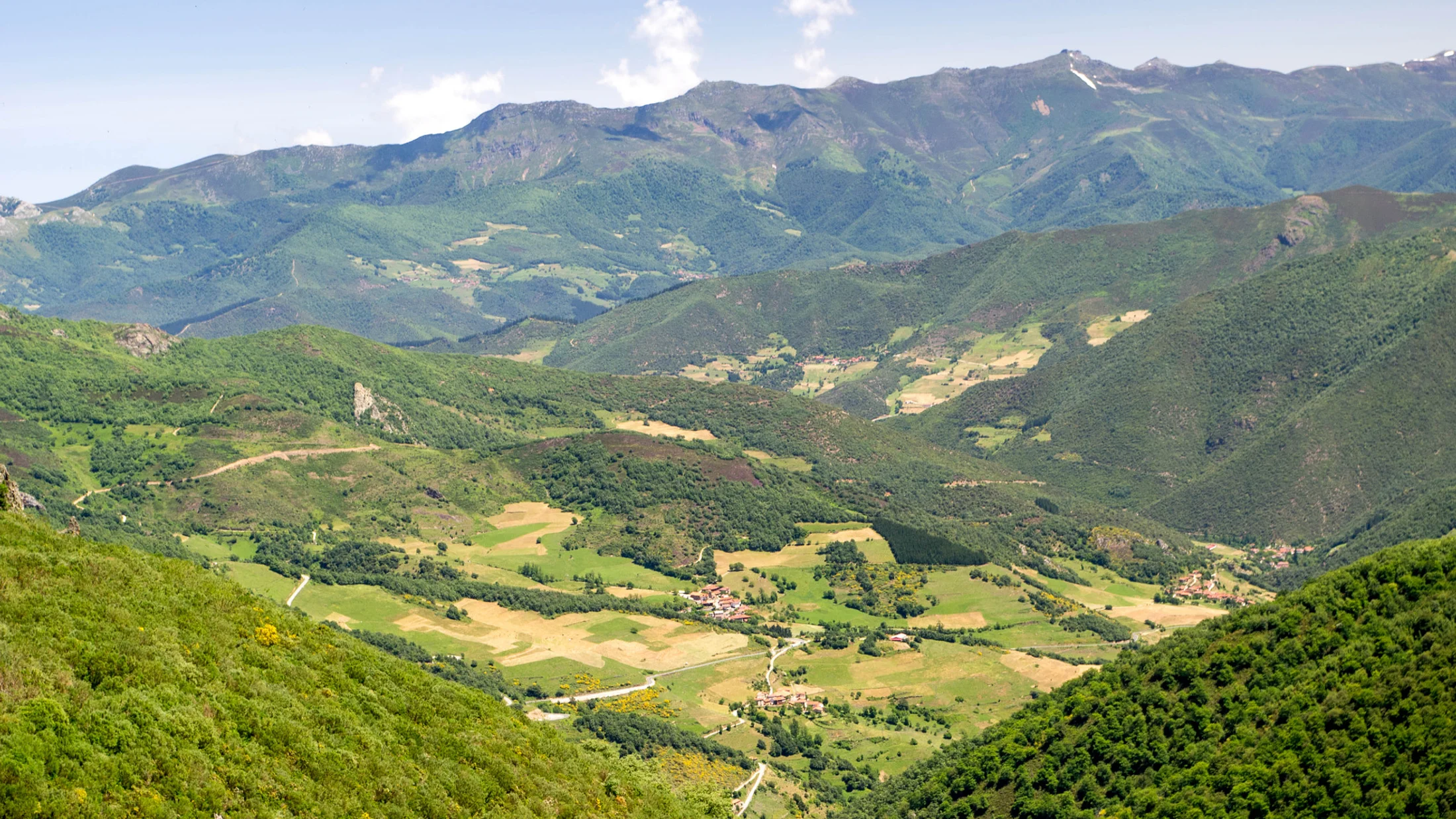 Imagen de Artículo de Blog: cmo4hhzmy0009fc2gerobzf9p