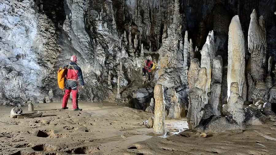 Imagen de Actividad: cmdym2e1u0btl2xzh86iqiura