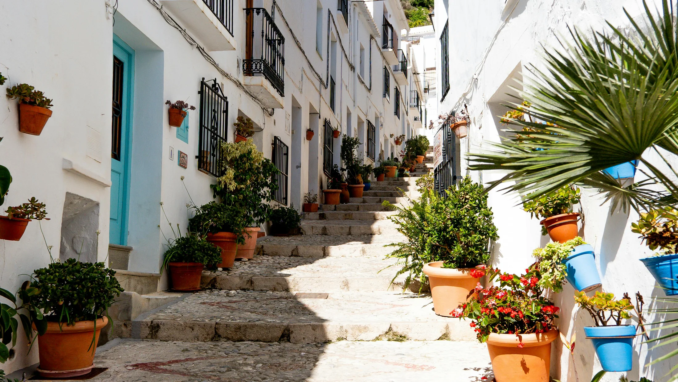 Imagen de Artículo de Blog: cmgz6fcqz005d9i0udw4c83ae