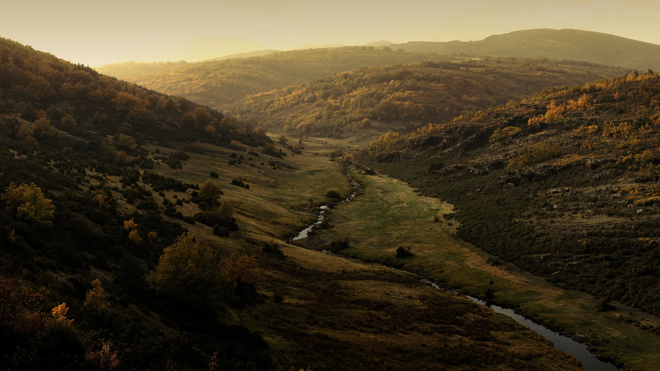 Imagen de Región: cmnp6g375004g10vyb02php3s