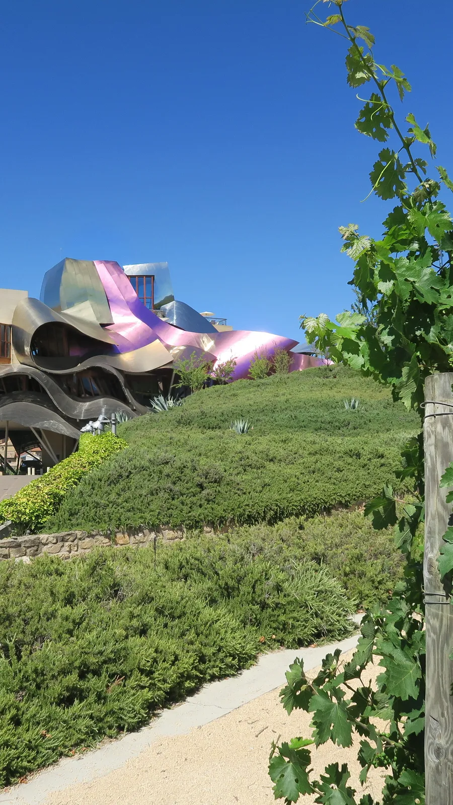 Marqués de Riscal Winery