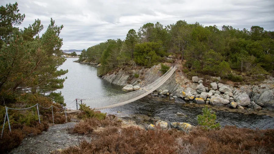 Imagen de Artículo de Blog: 8 routes with suspension bridges in Spain that will test your vertigo