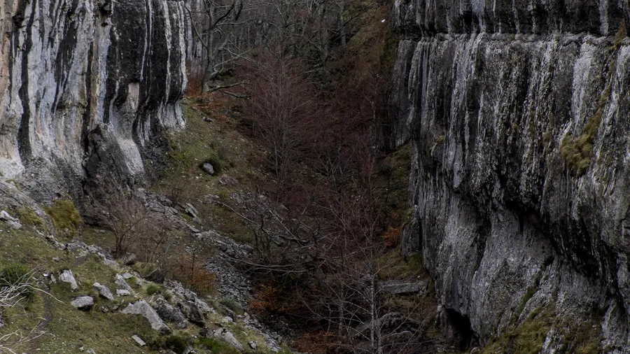 Imagen de Región: cmcjdd7m6006pik8p8rcwwlcn