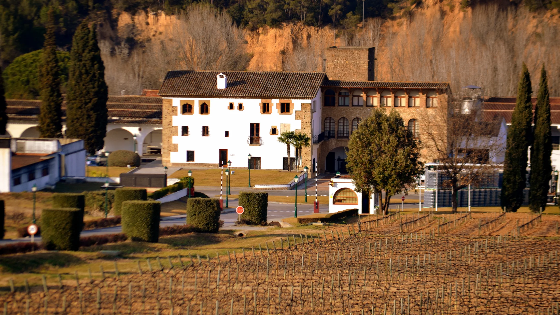 Imagen de Región: cmnxqcmzw008chd9setomd5oe