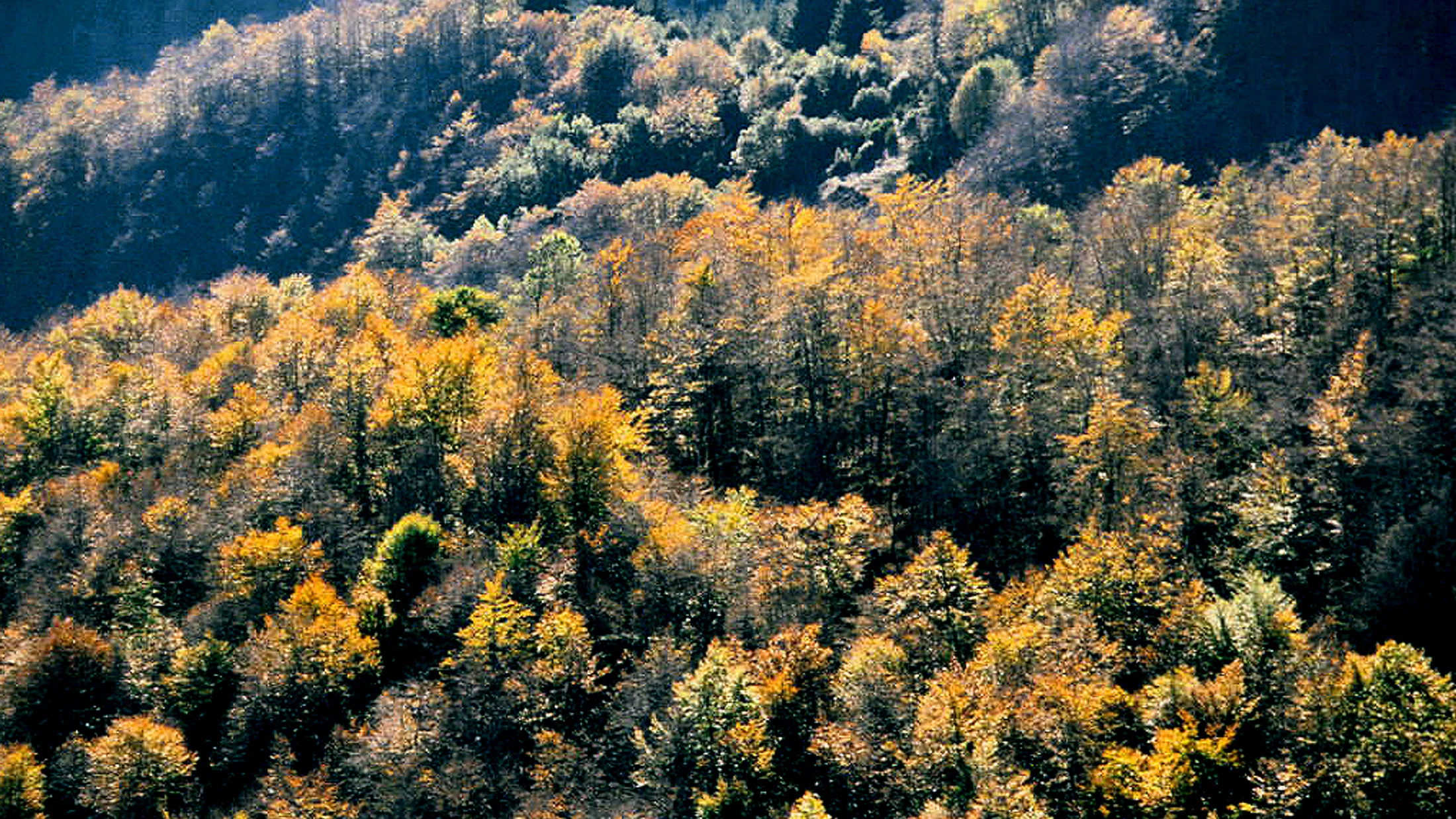 Imagen de Región: cmcja7agc0026phyjkllfg78r