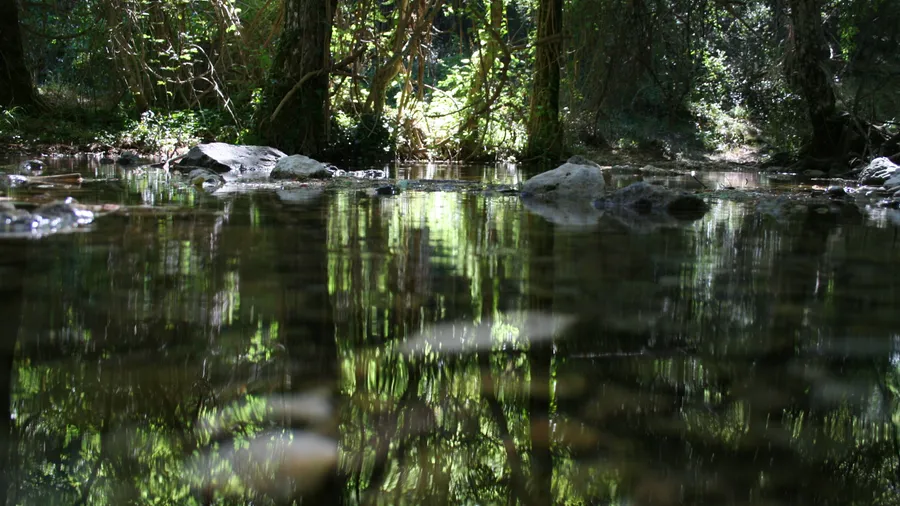 Imagen de Artículo de Blog: Nacimiento del Río Mundo: how to get there, best time and routes from Riópar