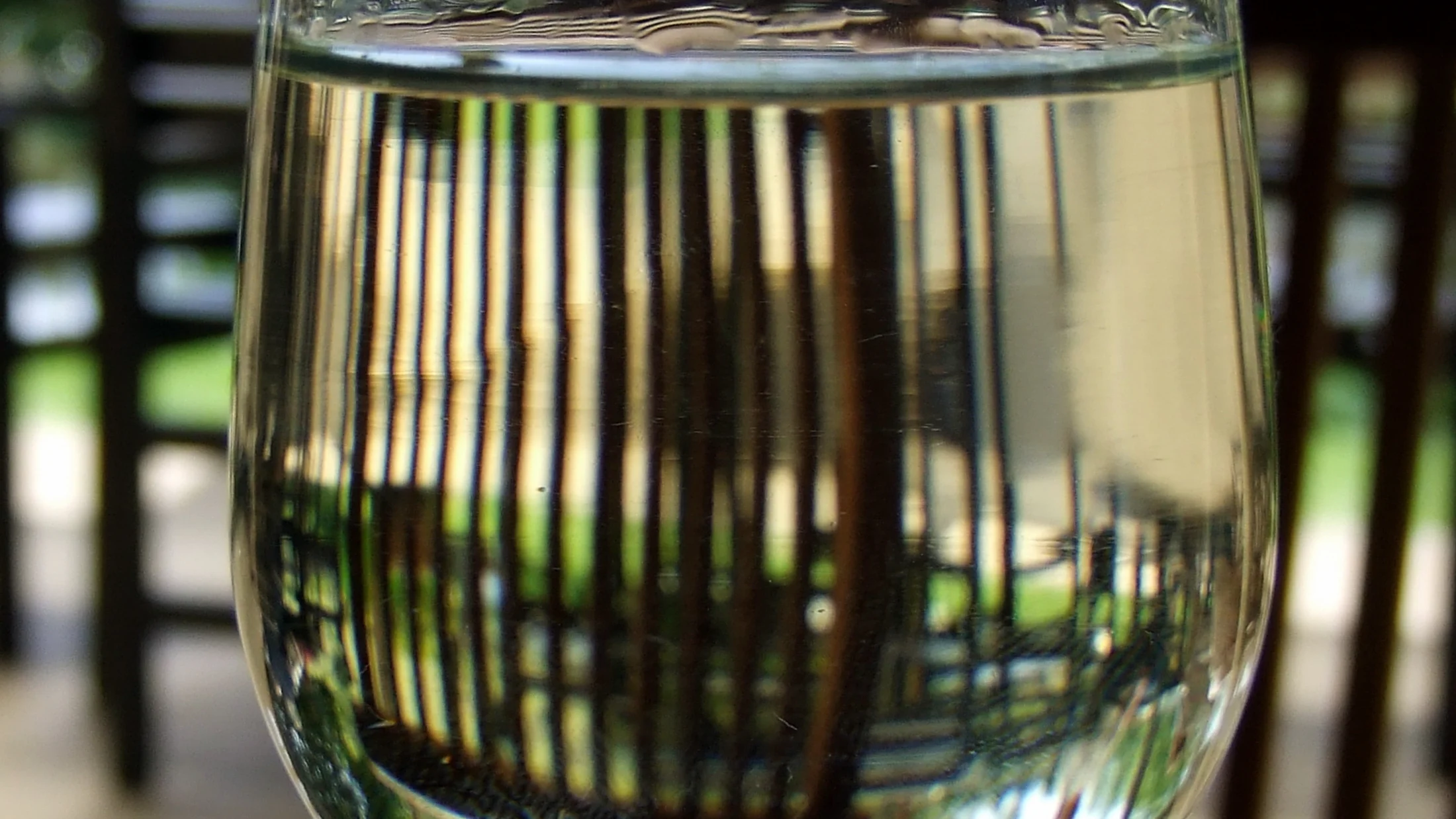 File:White wine tasting glass.jpg