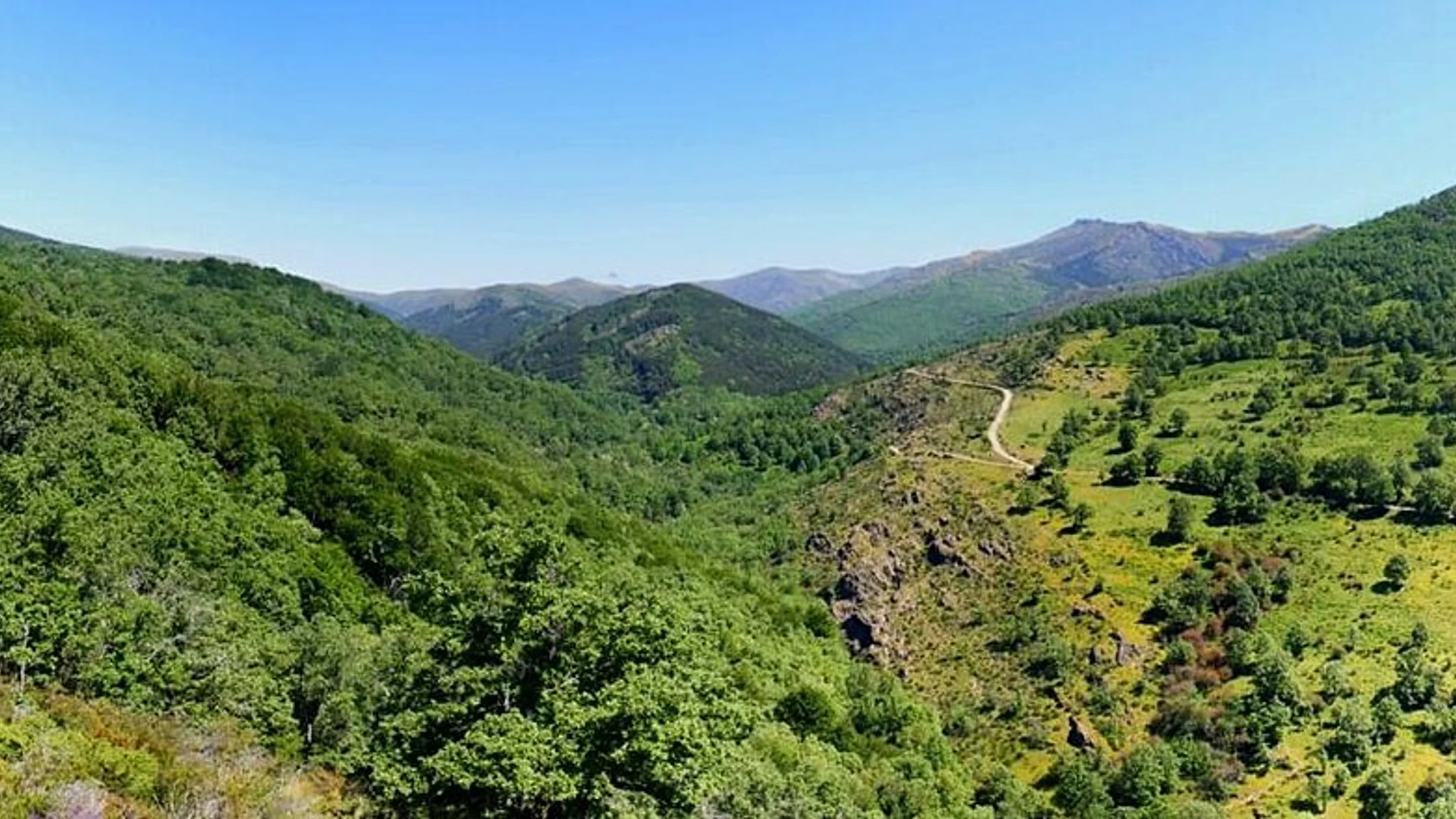 Montejo de la Sierra