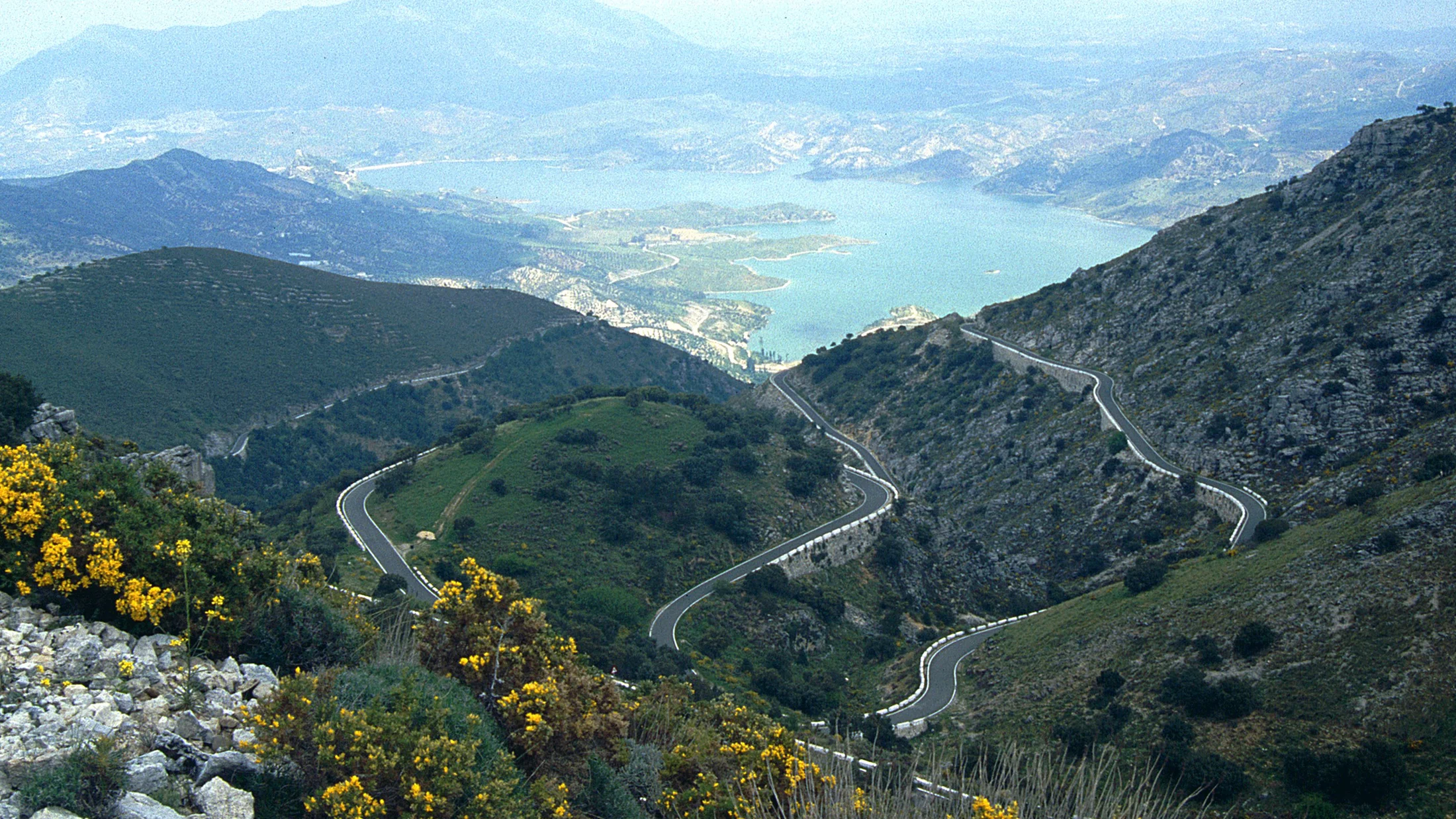 Imagen de Región: cmcj1wmtr000qphyj296ks6am