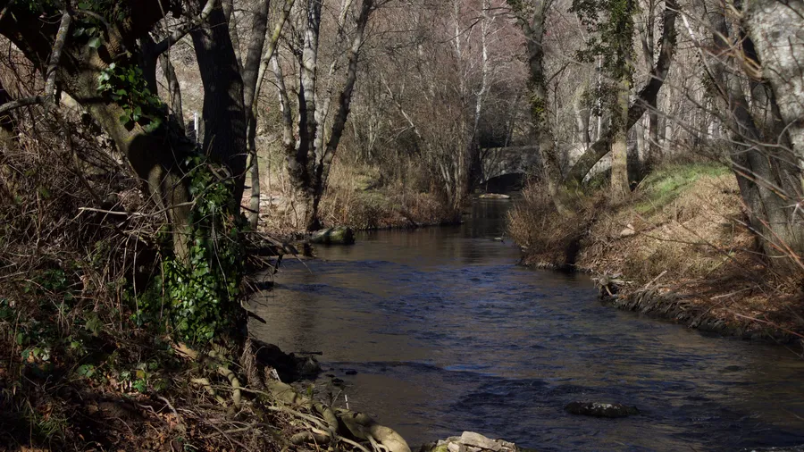 Hoces del Río Duratón
