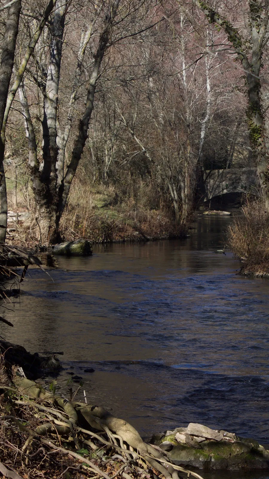 Duratón River Gorges