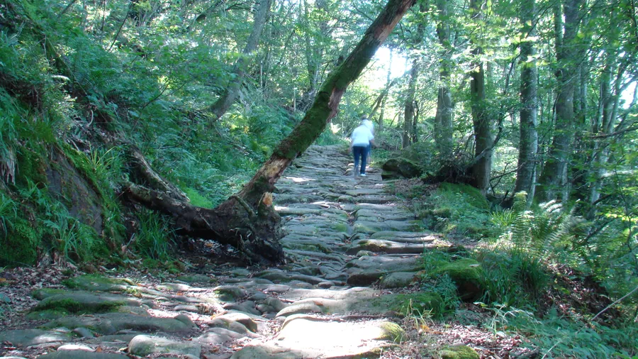 Imagen de Artículo de Blog: Caminos antiguos de España: 8 cañadas reales, calzadas romanas y sendas históricas