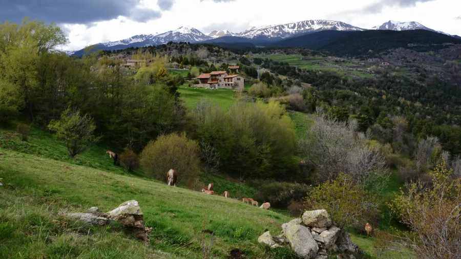 Imagen de Región: cmcja7db90036phyju55xvveh